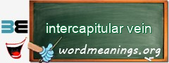 WordMeaning blackboard for intercapitular vein